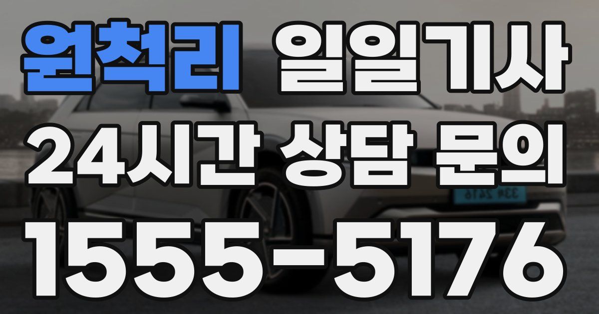 일일대리기사