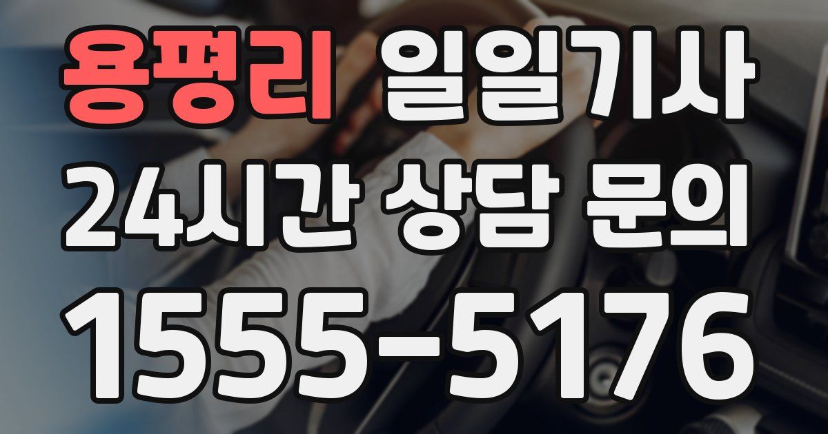 일일대리기사