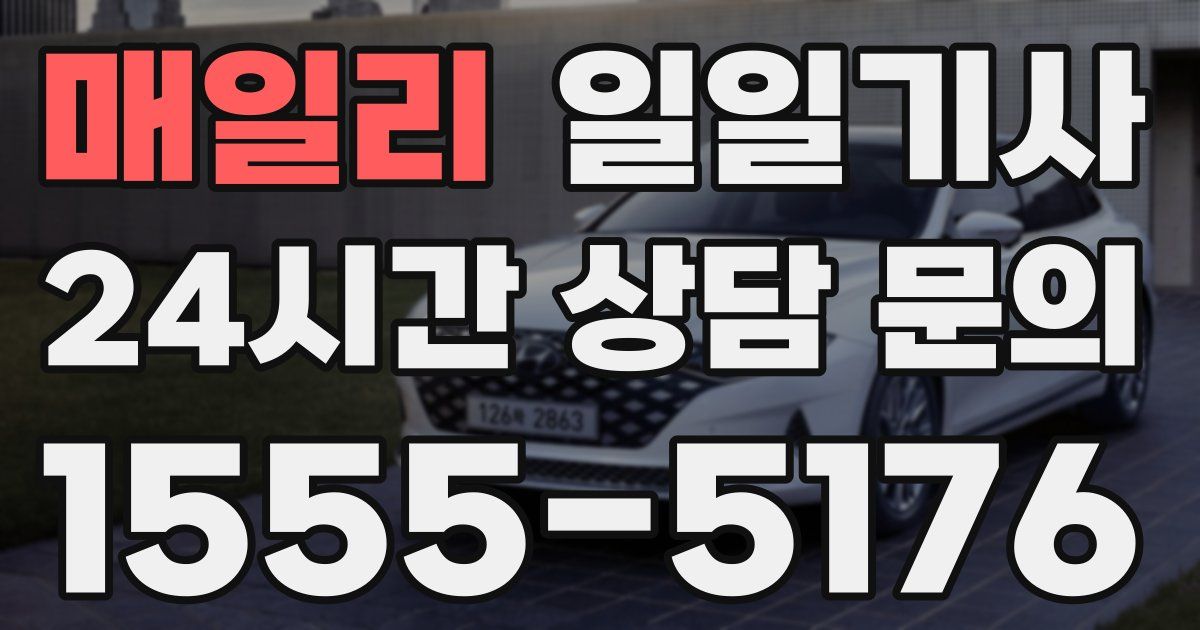 일일대리기사