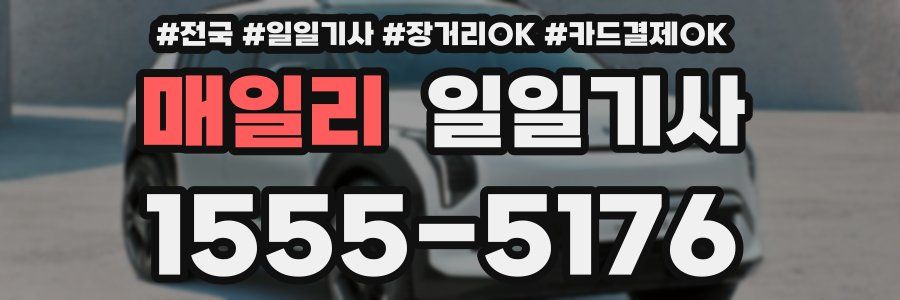 매일리 일일기사