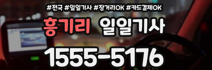 흥기리 일일기사