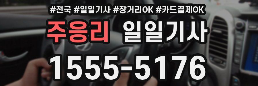 주응리 일일기사