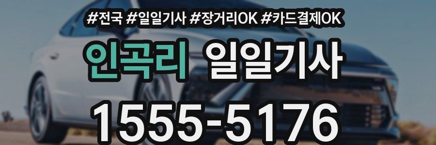 인곡리 일일기사