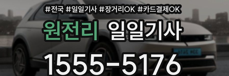 원전리 일일기사