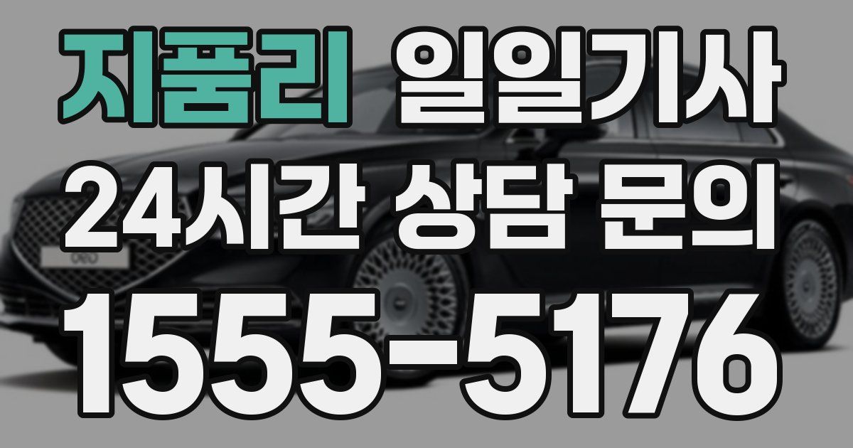 일일대리기사