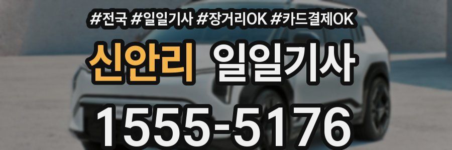 신안리 일일기사