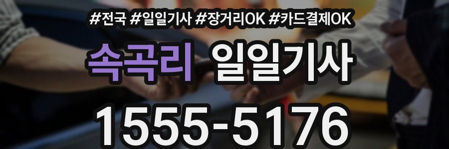 속곡리 일일기사