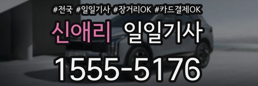 신애리 일일기사
