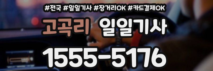 고곡리 일일기사