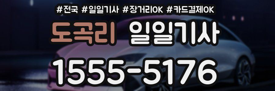 도곡리 일일기사