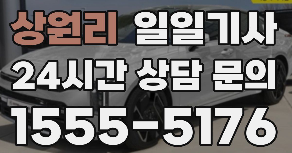 일일대리기사