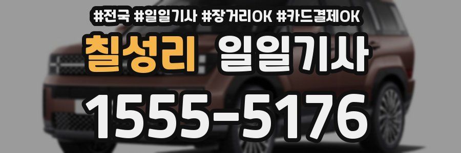 칠성리 일일기사