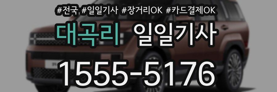 대곡리 일일기사