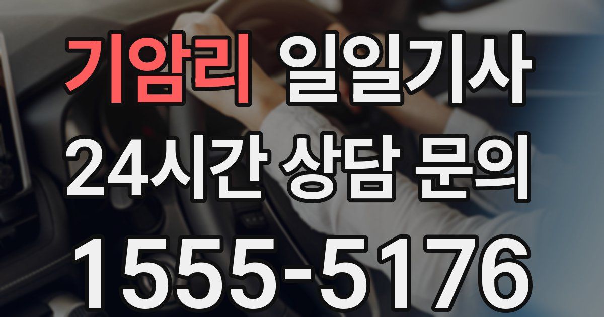 일일대리기사