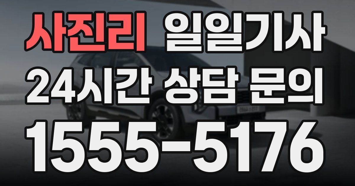 일일대리기사