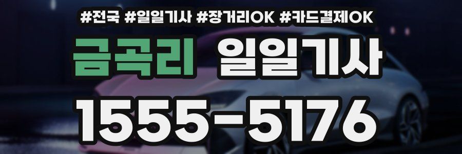 금곡리 일일기사