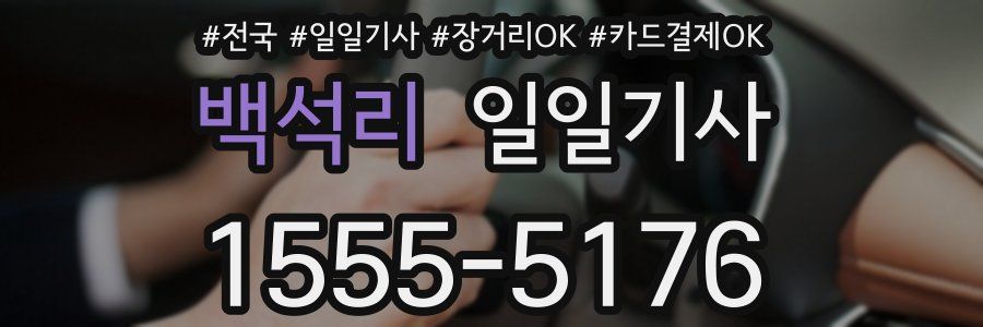 백석리 일일기사