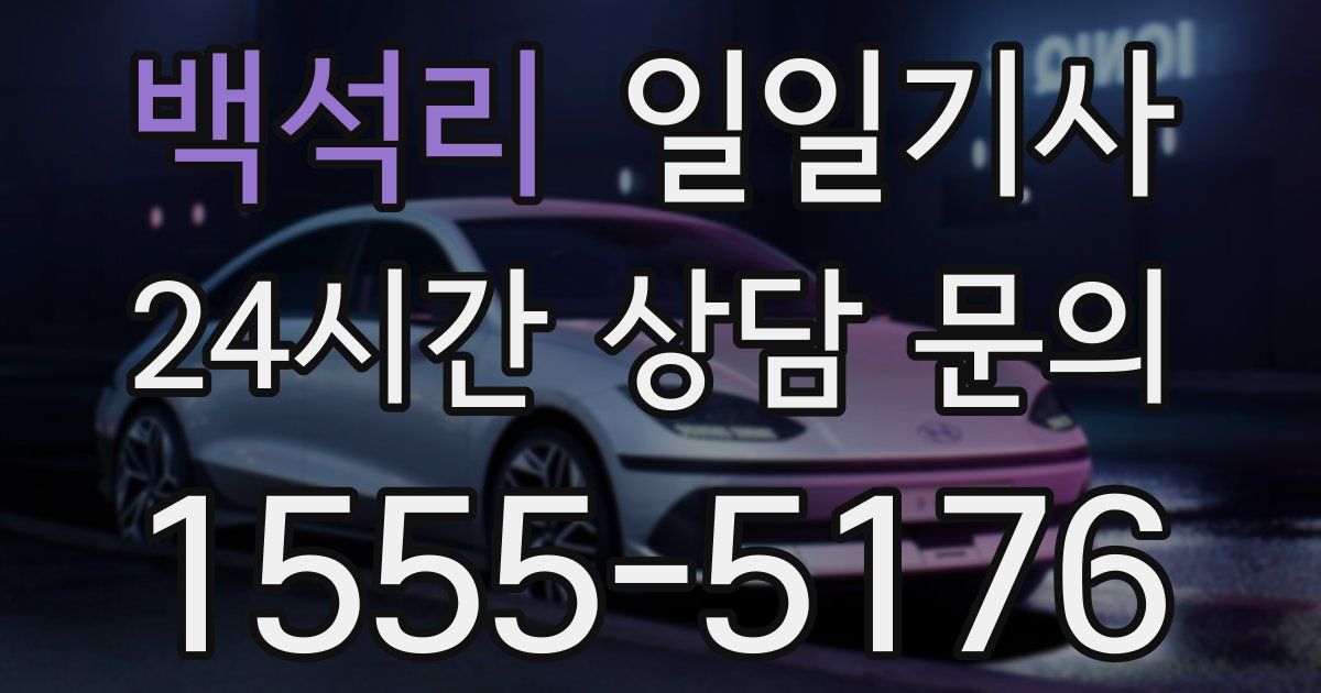 일일대리기사