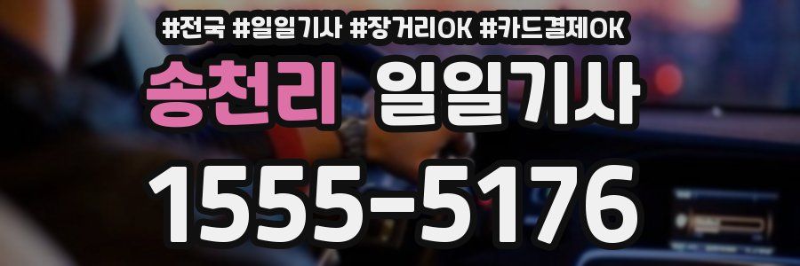 송천리 일일기사