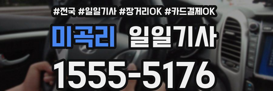 미곡리 일일기사