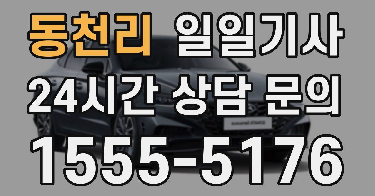 일일대리기사
