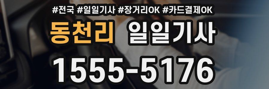 동천리 일일기사