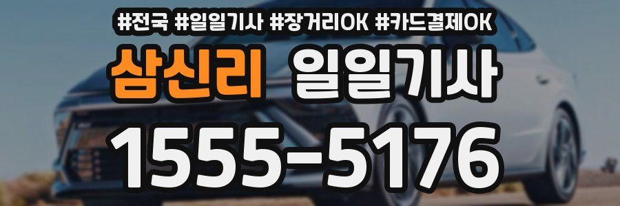 삼신리 일일기사