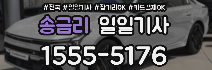 송금리 일일기사