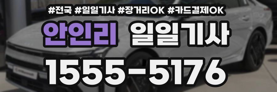 안인리 일일기사