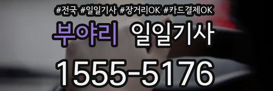 부야리 일일기사