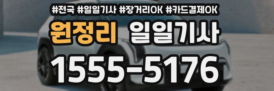 원정리 일일기사