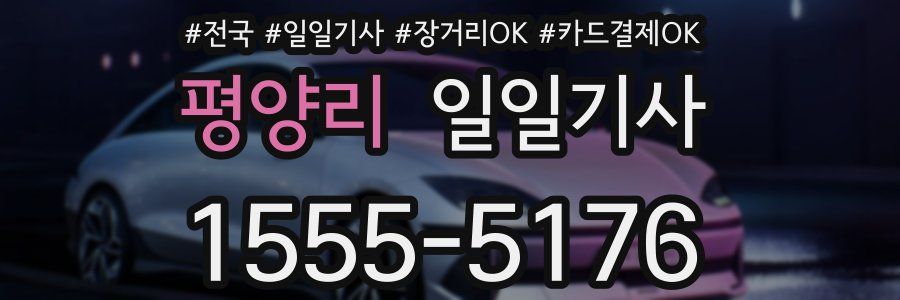 평양리 일일기사