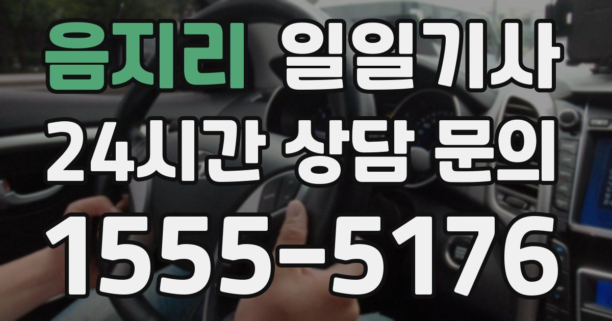 일일대리기사
