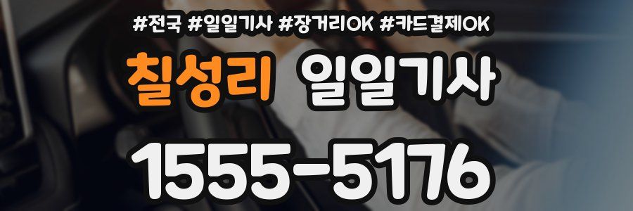 칠성리 일일기사
