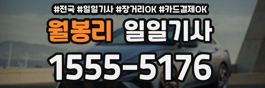 월봉리 일일기사