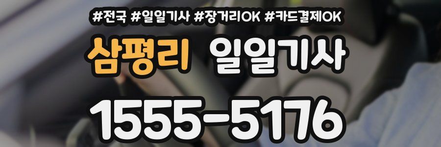 삼평리 일일기사