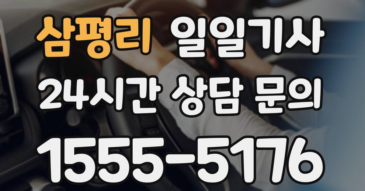일일대리기사