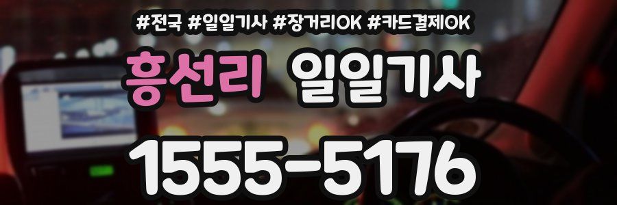 흥선리 일일기사