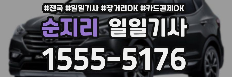 순지리 일일기사