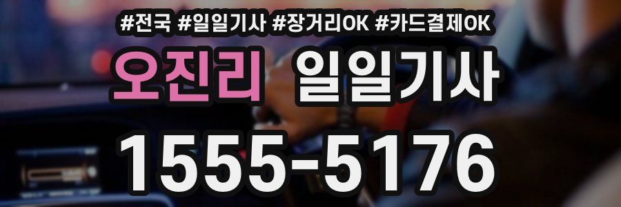 오진리 일일기사