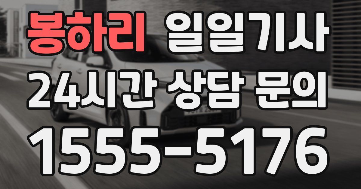 일일대리기사