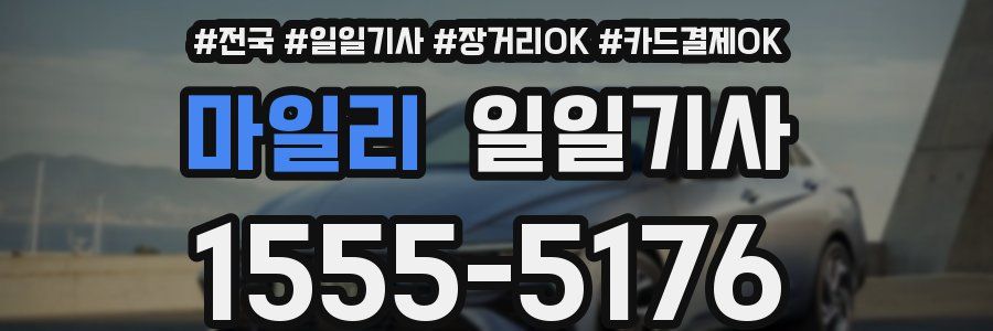 마일리 일일기사