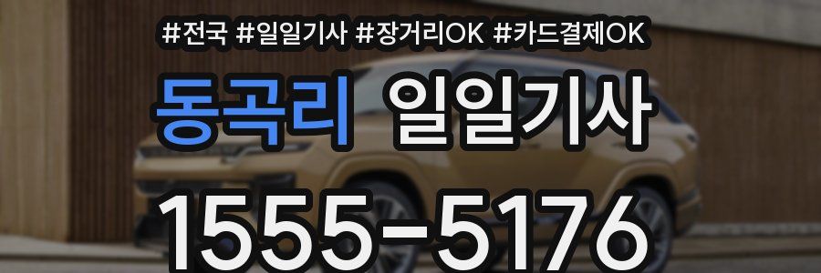 동곡리 일일기사