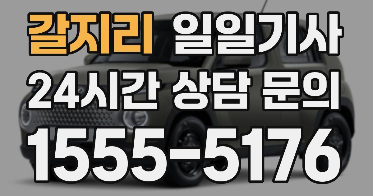일일대리기사