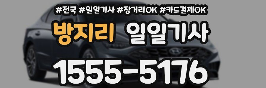 방지리 일일기사