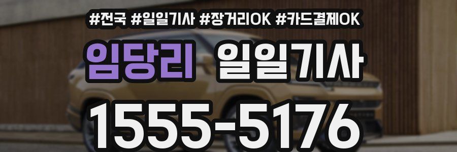 임당리 일일기사