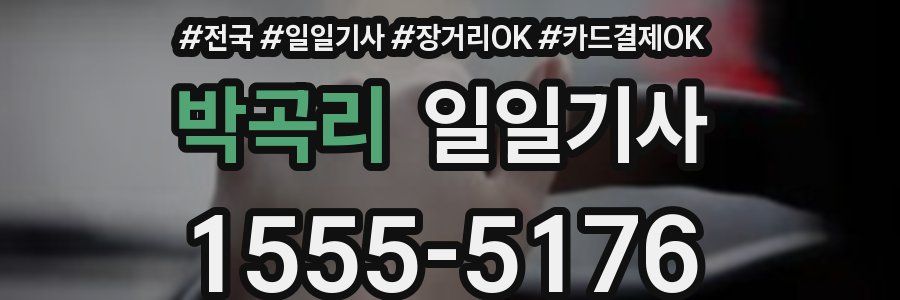 박곡리 일일기사