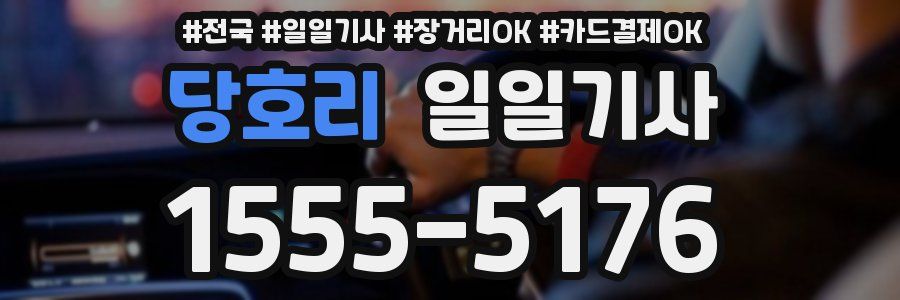 당호리 일일기사