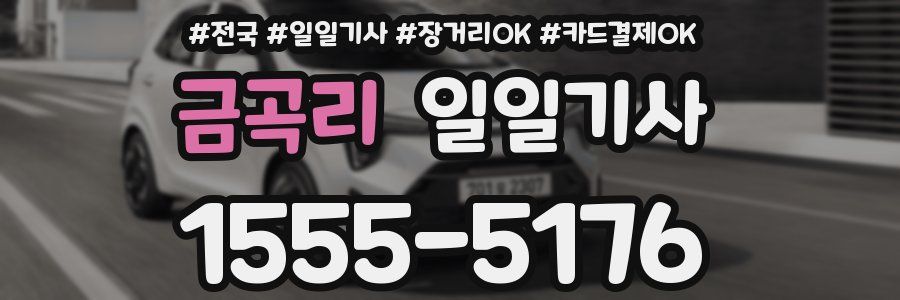 금곡리 일일기사