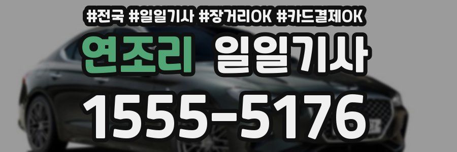 연조리 일일기사